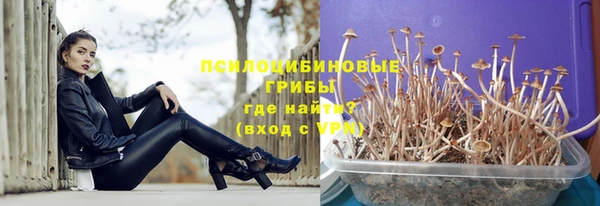 гашик Балабаново