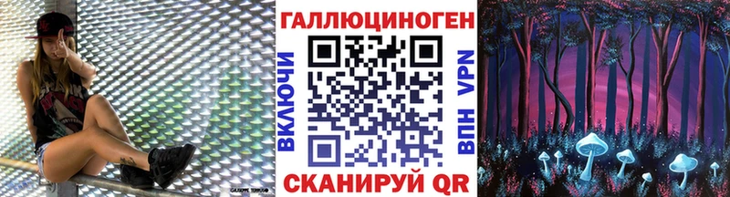 где продают наркотики  Унеча  Галлюциногенные грибы Psilocybe 